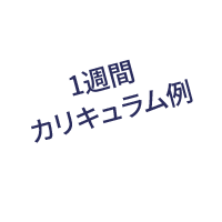 1週間カリキュラム例